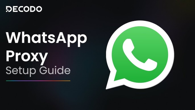 How to Check WhatsApp Online Status? Methods for Checking on Both Mobile and Desktop